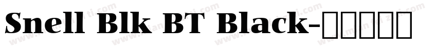 Snell Blk BT Black字体转换